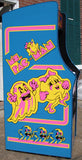 MS PACMAN WITH ALL  NEW PARTS-LOOKS AND PLAY LIKE A NEW GAME-HEAVY DUTY, COIN OPERATED, COMMERCIAL GRADE WITH FREE PLAY OPTION